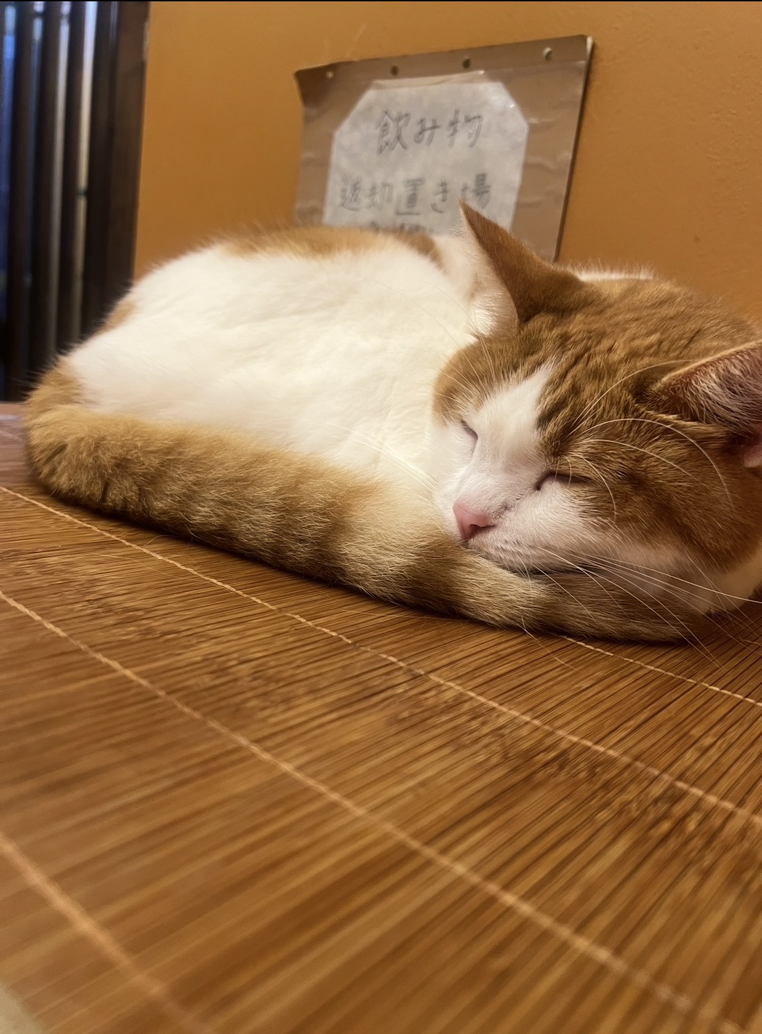 🌙眠れない夜は、体のこわばりサインかも?